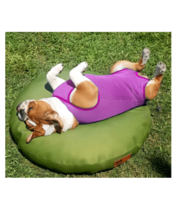 Faja Post Operatoria Hembra